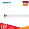 หลอดไฟนีออน T8 PHILIPS TLD54