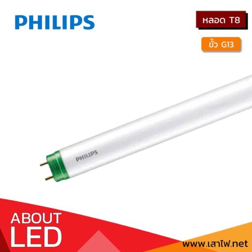หลอดไฟ LED T8 PHILIPS EcoFit