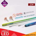 EVE หลอดไฟ LED T8 22W
