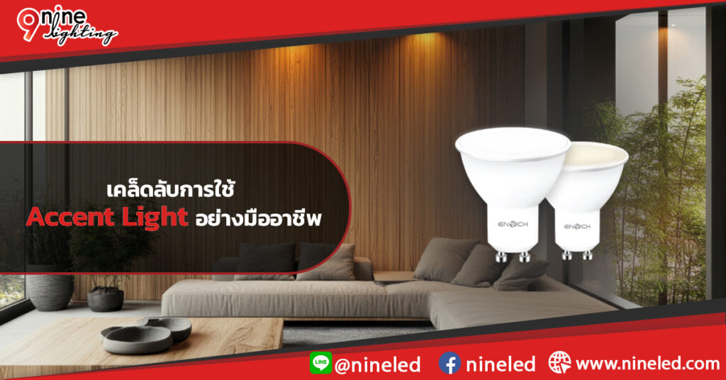 เคล็ดลับการใช้-Accent-Light-อย่างมืออาชีพ