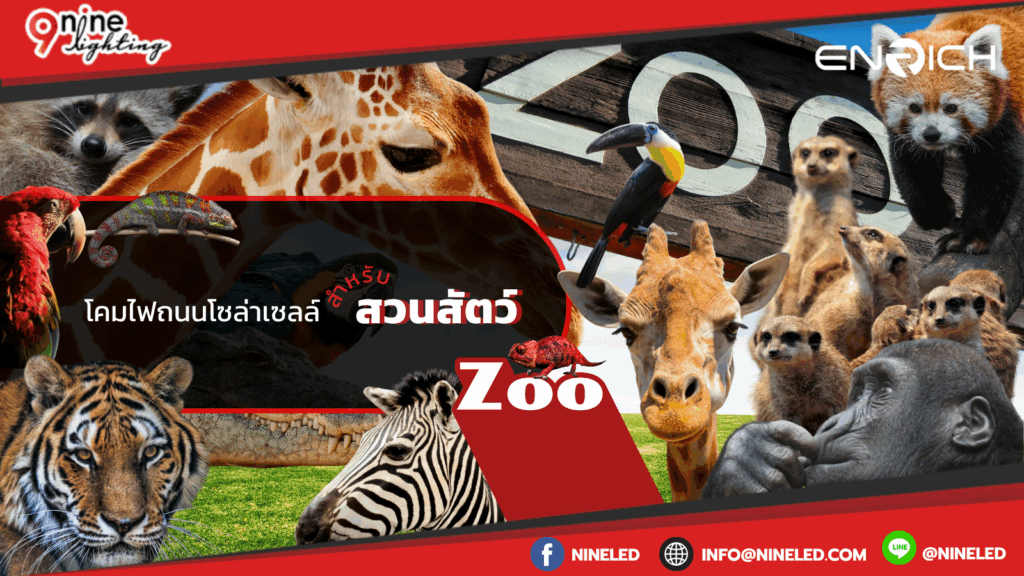 โคมไฟถนนโซล่าเซลล์สำหรับสวนสัตว์