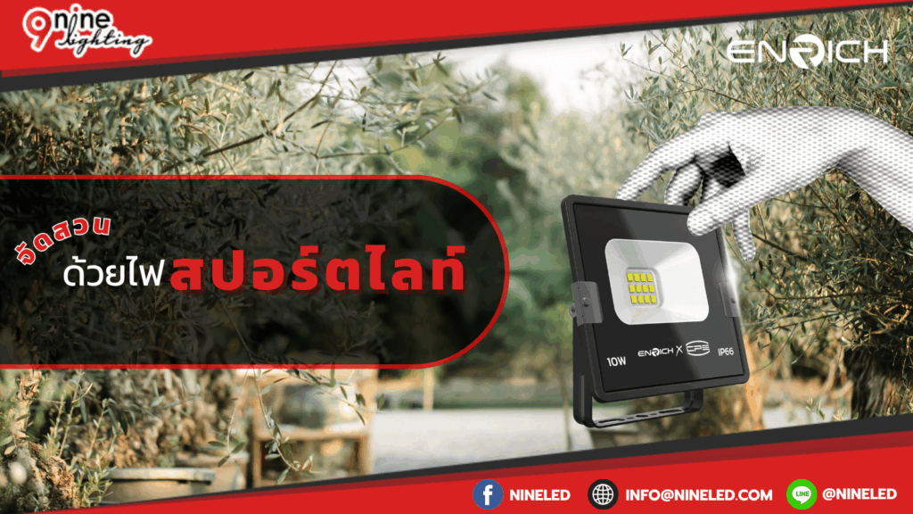 จัดสวนด้วยไฟสปอร์ตไลท์