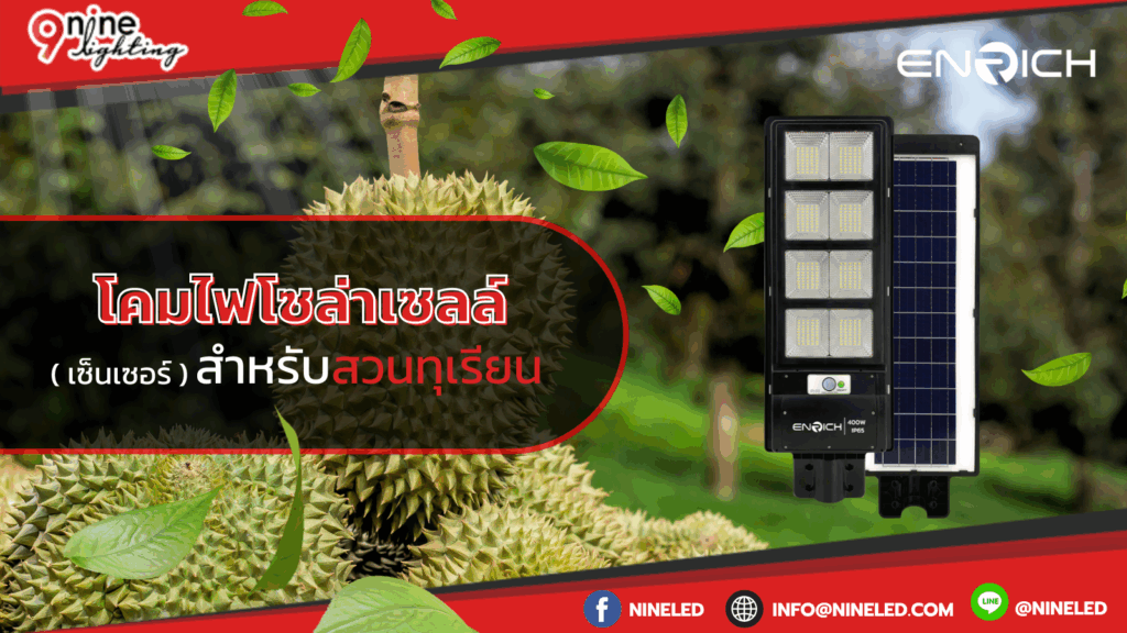 โคมไฟโซล่าเซลล์เซ็นเซอร์สำหรับสวนทุเรียน