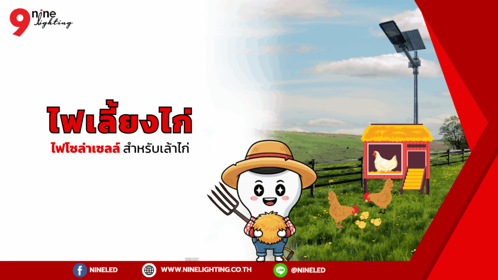 ไฟโซล่าเซลล์สำหรับเล้าไก่ ไฟเล้าไก่